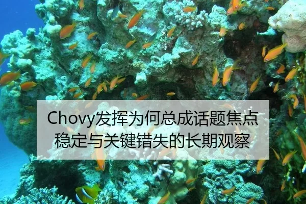 fa-hui-wei-he-zong-cheng-hua-ti-jiao-dian-wen-ding-yu-guan-jian-cuo-shi-de-chang-qi-guan-cha-2-239.jpg